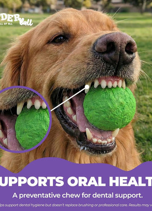 WUNDERball - Best Fetch Toy