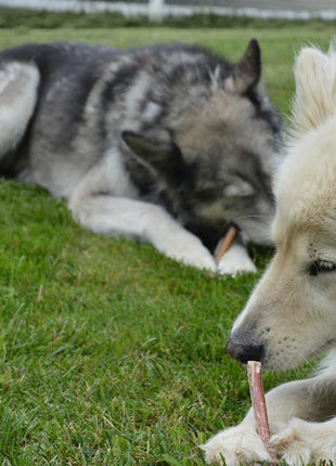 Brazilian Grass-Fed Beef Bully Sticks