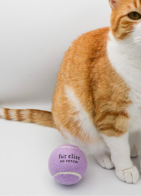 So Fetch! Tennis Ball - Lilac