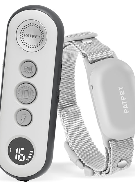 Patpet Premium Dog Collar