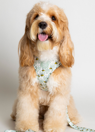 Little Honey Adjustable Harness