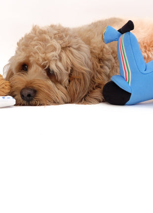 Scooter Pet Plush Toy