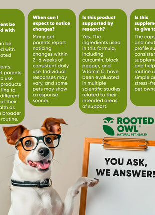 Turmeric - Pup List