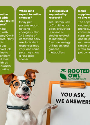 Weight Management - Pup List