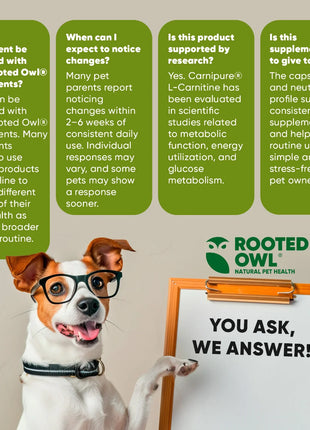 Weight Management - Pup List