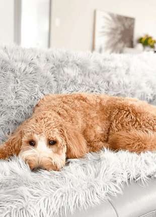 PupProtector™ Waterproof Throw Blanket - Grey