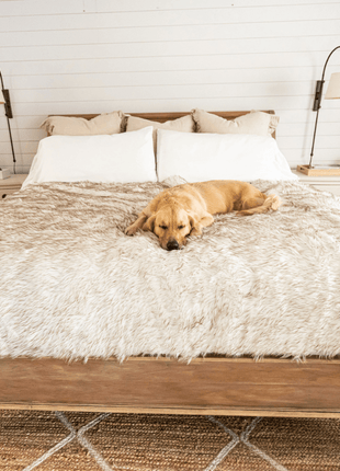 PupProtector™ Waterproof Throw Blanket - White with Brown Accents