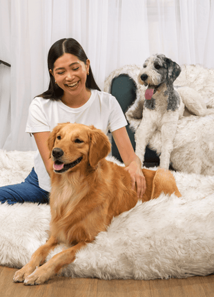 PupCloud™ Human-Size Dog Bed + Matching Waterproof Blanket Bundle - White with Brown Accents