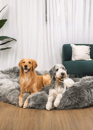 PupCloud™ Human-Size Faux Fur Memory Foam Dog Bed - Charcoal Grey