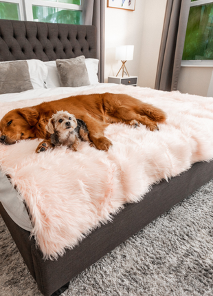 PupProtector™ Waterproof Throw Blanket - Blush Pink