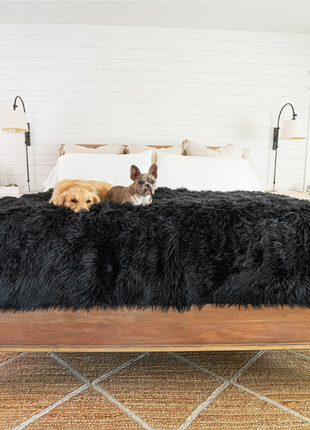 PupProtector™ Waterproof Throw Blanket - Midnight Black