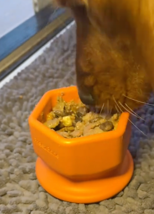 FreezCup - Long-Lasting Chew Fun