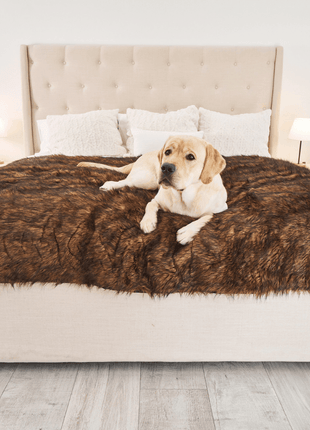 PupProtector™ Waterproof Throw Blanket - Brown