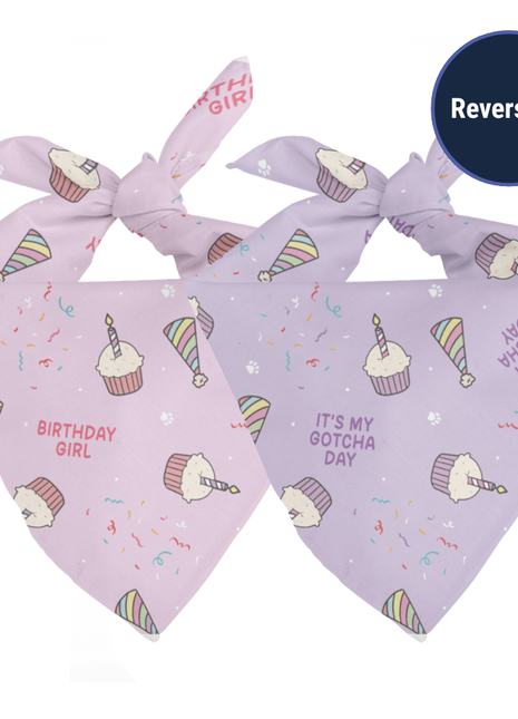 Birthday Girl & Gotcha Day Dog Bandana