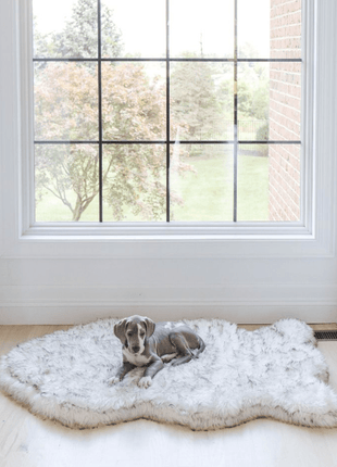 PupRug by Paw.com® Faux Fur Orthopedic Dog Bed - Curve White with Brown Accents