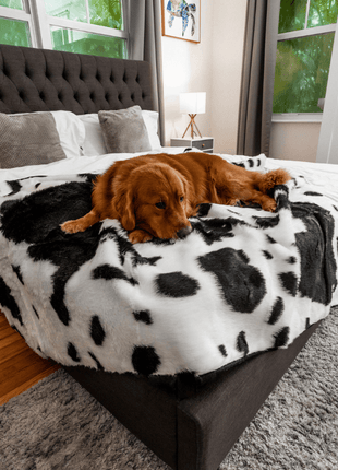 PupProtector™ Waterproof Throw Blanket - Black Faux Cowhide