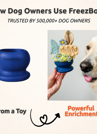 Freezball - Durable Fillable Dog Chew Bone