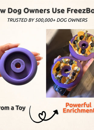 Freez Doughnut - Super Durable Treat Toy