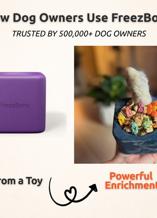 Freezbox - Super Tough Treat Toy