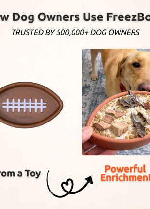 FreezFootball - Tough Enrichment Football Toy