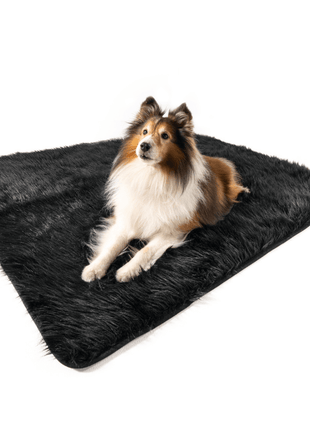 PupProtector™ Waterproof Throw Blanket - Midnight Black