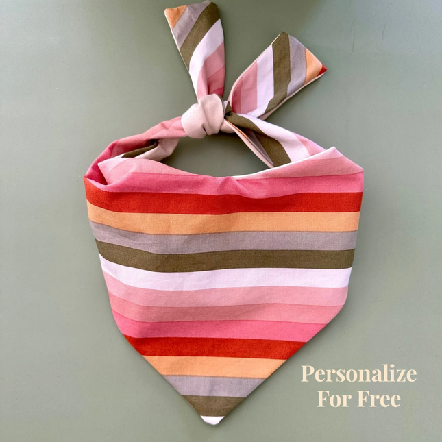 Boho Stripes Dog Bandana