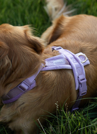 Lilac - Velvet Dog Harness
