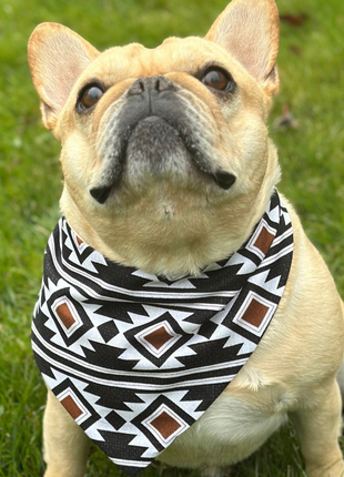 Southwest Dog Bandana