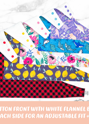 "Adventure" Dog Bandana