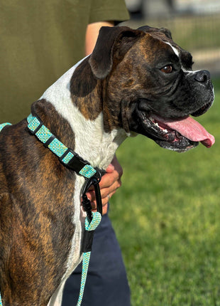 Adventure Style Collar and Leash SET