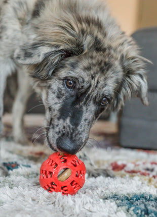 Interactive Dog Treat Ball