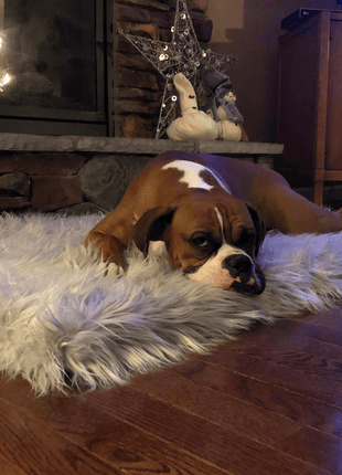 PupRug by Paw.com™ Faux Fur Orthopedic Dog Bed - Rectangle Grey