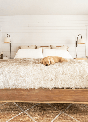 PupProtector™ Waterproof Throw Blanket - White with Brown Accents