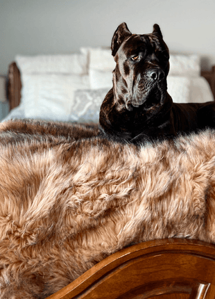 PupProtector™ Waterproof Throw Blanket - Sable Tan