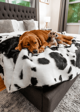 PupProtector™ Waterproof Throw Blanket - Black Faux Cowhide