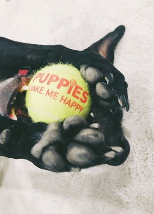 Happy Tennis Ball - Pup List