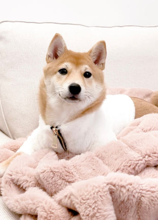 Furi Pet Coat - Bone