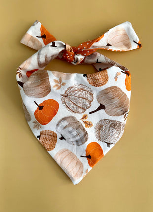 Pumpkin Dog Bandana