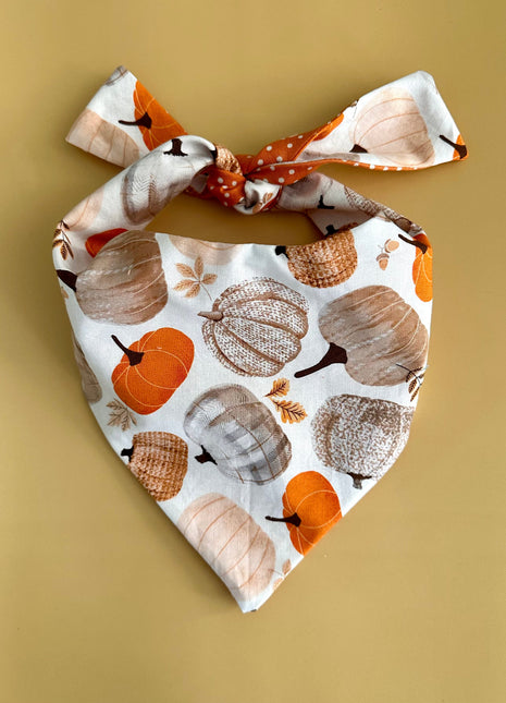 Pumpkin Dog Bandana