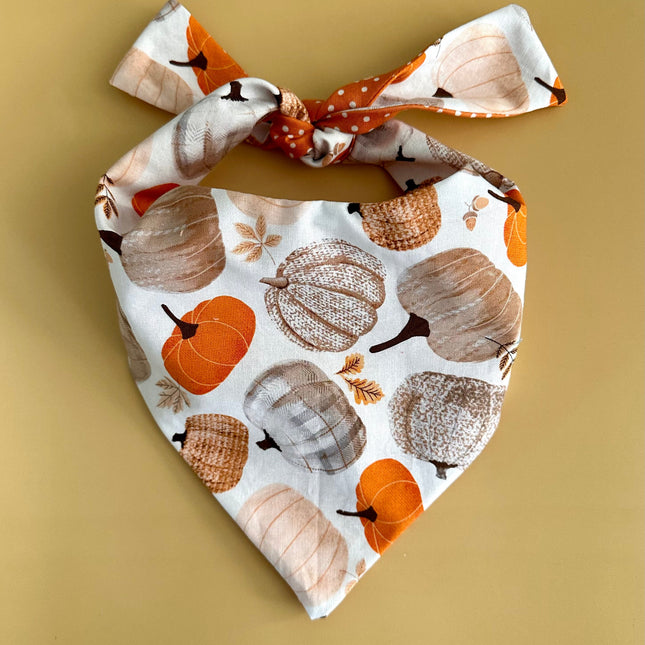 Pumpkin Dog Bandana