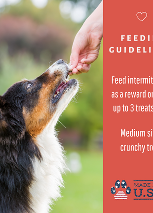 Dog Mamma's Organic Apple Cranberry Recipe - USDA Organic Certified Dog Treats