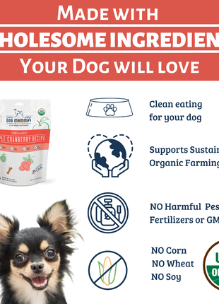 Dog Mamma's Organic Apple Cranberry Recipe - USDA Organic Certified Dog Treats