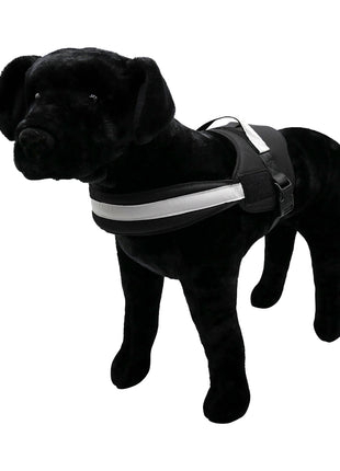 Harness.  Easy Slip On. No Pull