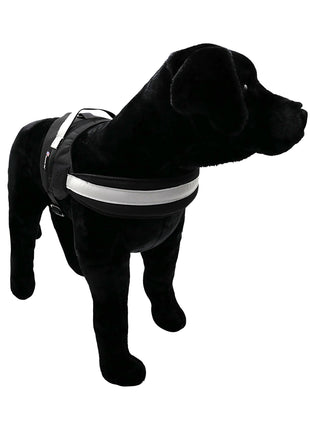 Harness.  Easy Slip On. No Pull