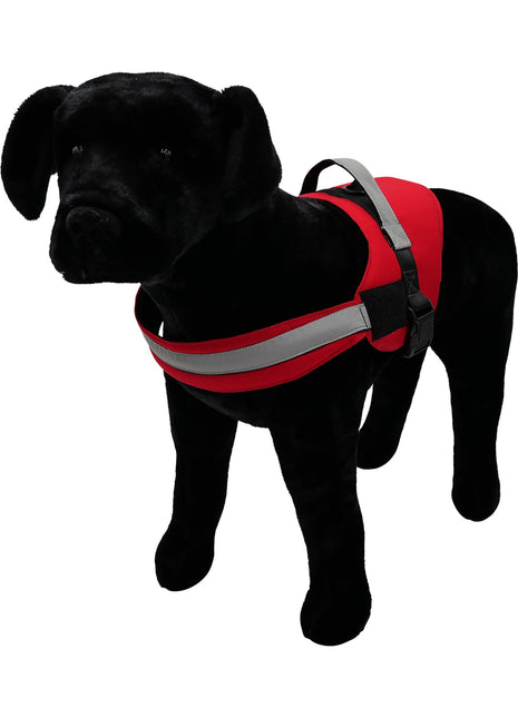 Harness.  Easy Slip On. No Pull