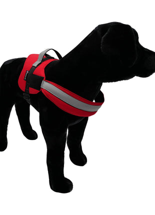 Harness.  Easy Slip On. No Pull