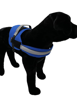 Harness.  Easy Slip On. No Pull