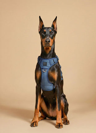 The NoMad Adjustable Luxe Harness - Denim - Pup List