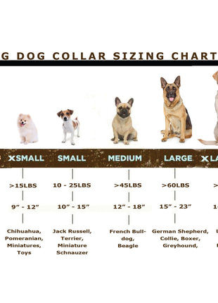 Martingale Chocolate Leather Dog Collar