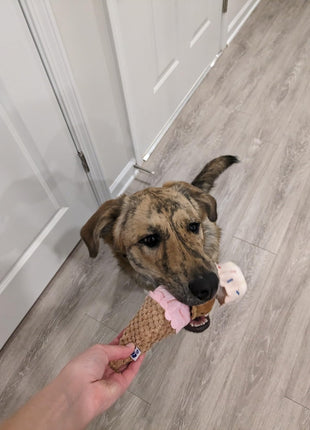 ICE CREAM PLUSH DOG TOY